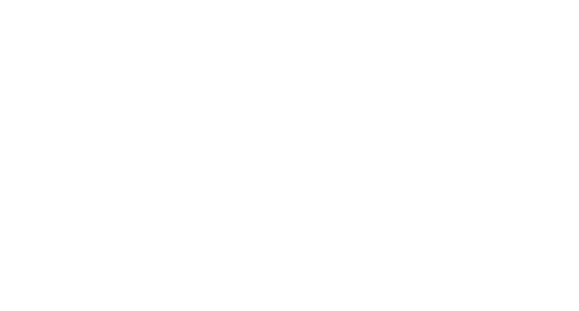 Madame Metz logo